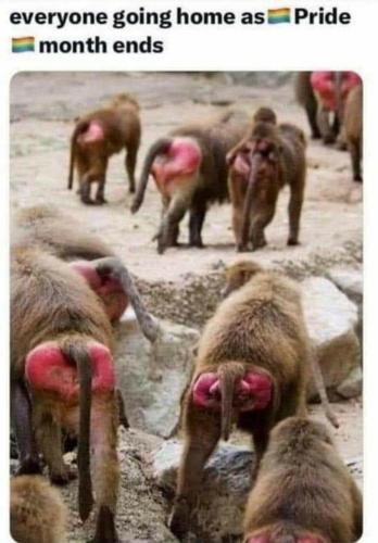 image_4EB2AF14-B097-4C77-B486-C3B4AB895D50