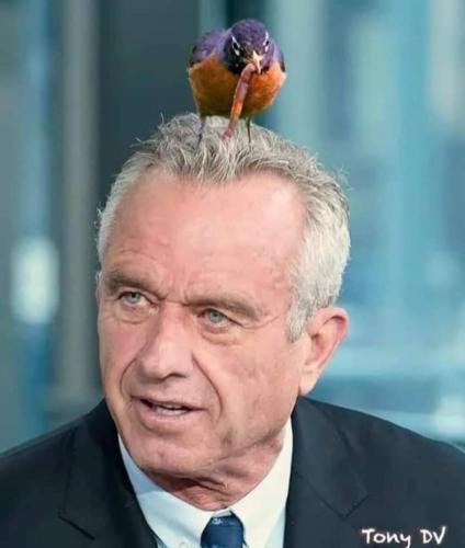 image_C91D4311-4400-4968-82C6-622DA3A2FCC8