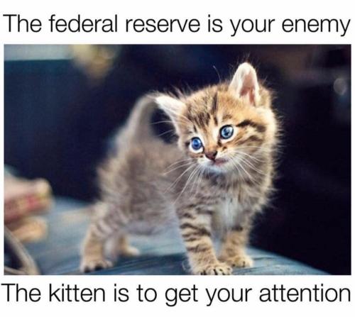 image_21CA6CC7-54A2-458A-BEFE-1BD0A068F6CF