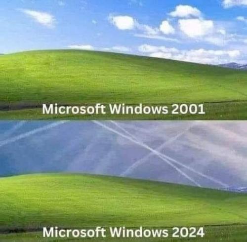 bill gates ms windows
