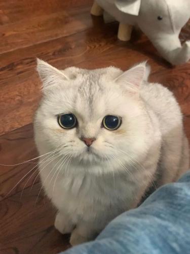 77d5e00d-9ff0-4300-893a-e78f810d0fce_0