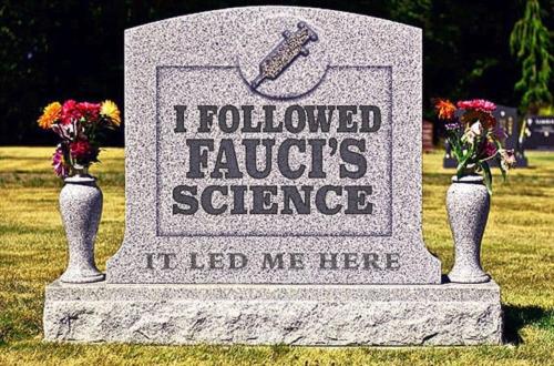 image_DBE10524-043F-4B7E-ABA9-7A775EA96193