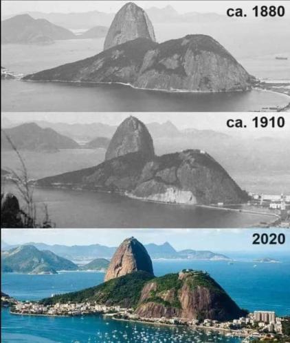 FB_IMG_1717373013722