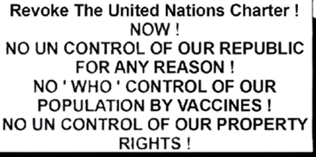 Revoke The United Nations Charter 4-wide-by-2-half vertical