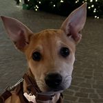 399441358_856674802663942_657358527770193811_n