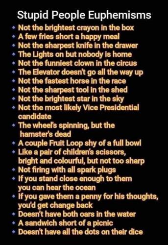 447556281_10111994848724008_1343915797889995413_n