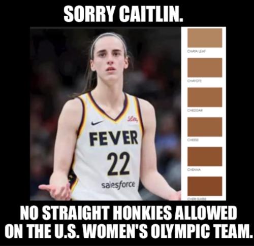 no straight honkeys allowed on womens olympic team wnba