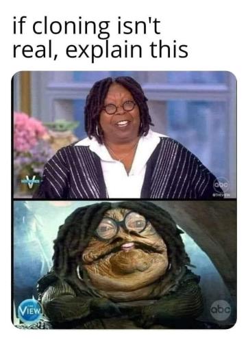 FB_IMG_1718126892115