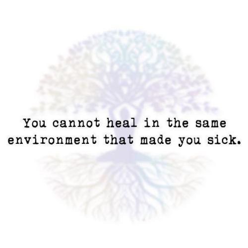 IMG_20240617_170931_499