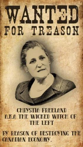 FB_IMG_1719156668736