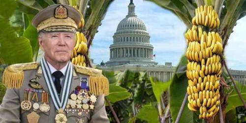 BANANA REPUBLIC 66666666666666666666