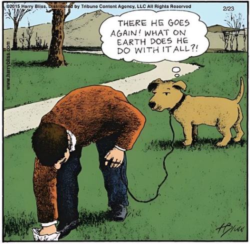 448869573_122186266070031557_7733035678670934328_n