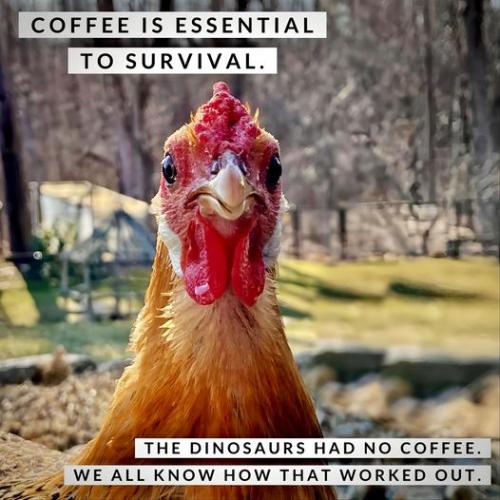 447724662_122147484776216658_3681892712180753401_n