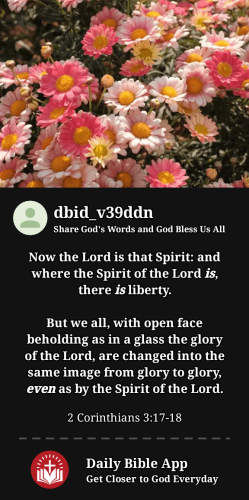 2024-06-301719789564743