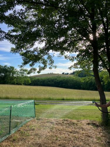 BF38DB93-2600-41B4-BECF-EA3AE4462D0F