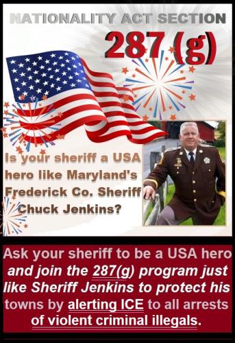 AMERICAN SHERIFF 287G PROGRAM