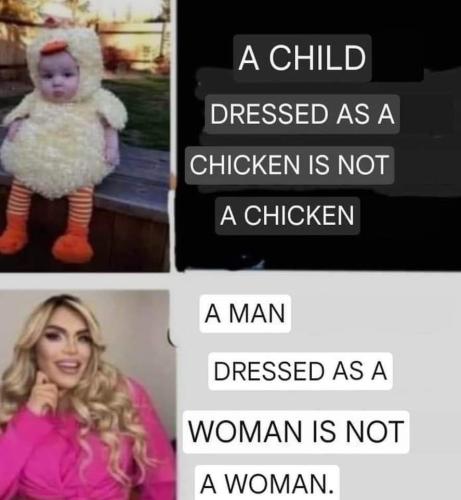 FB_IMG_1717577265701