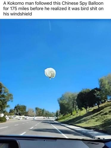 image_C5178940-D8AA-4B76-A586-5850198F3B05