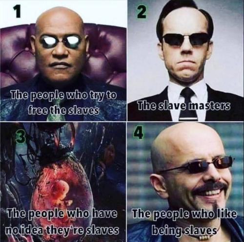 IMG_20240612_111056_239