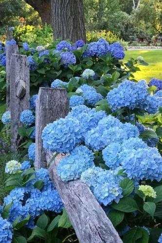 20240603_221235