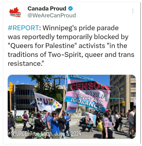 Winnepeg trans parade