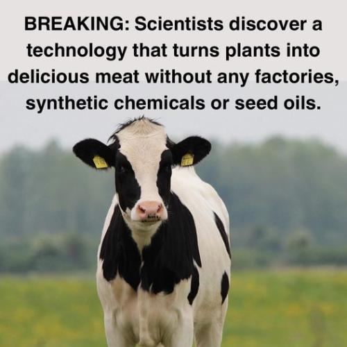 444781031_8409751529038868_1114851911977510968_n