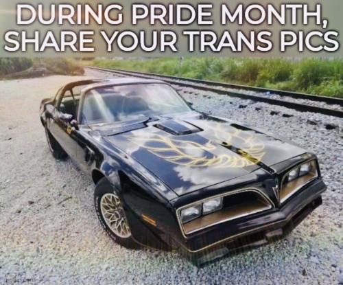 image_A1A8EAAA-23B6-4A17-8EE2-7E2437DA7465