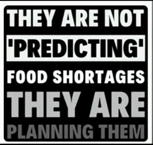 IMG_20240616_133129_941