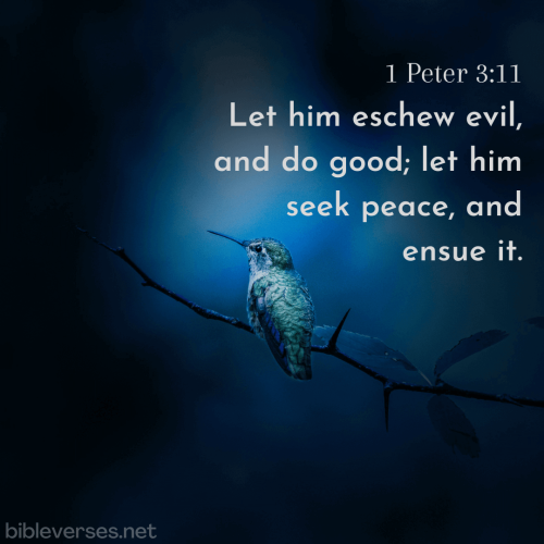 1-peter-3-11