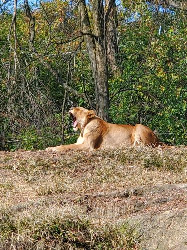 05:37:58 GMT-0400 (EDT)