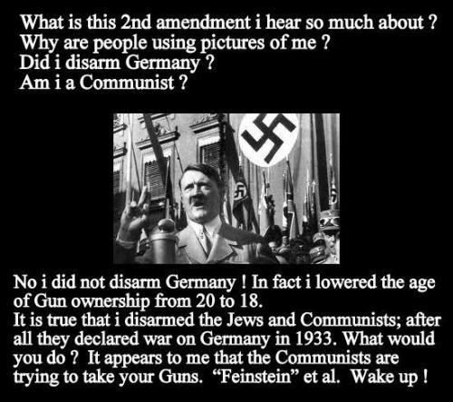 Hitler and Gun control