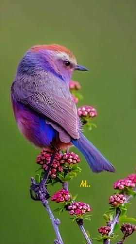 img-8d26b906