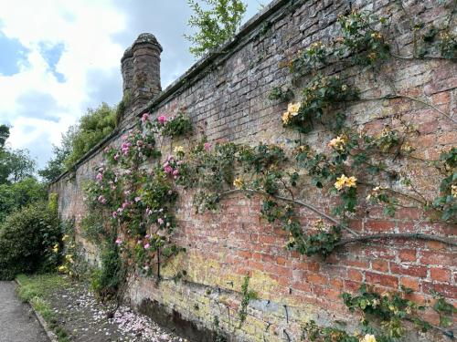 0465293A-C442-45C1-BB04-E2949232C54B