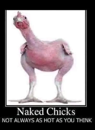 444484542_8114672251890591_7079679013920671366_n