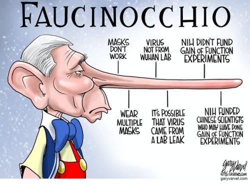 faucinochico