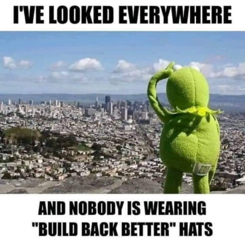 build back better where