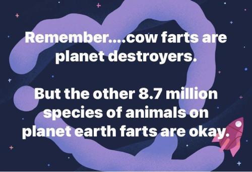 image_9AACEA5A-5AD2-4FA1-B43D-351E03CFA27D