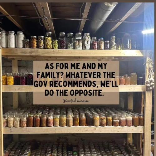 FB_IMG_1718813854829