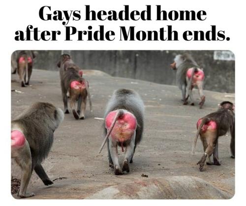 Gays headed home after pride month ends.960px