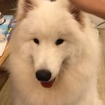 34490093_267840200430691_5685653006087880704_n