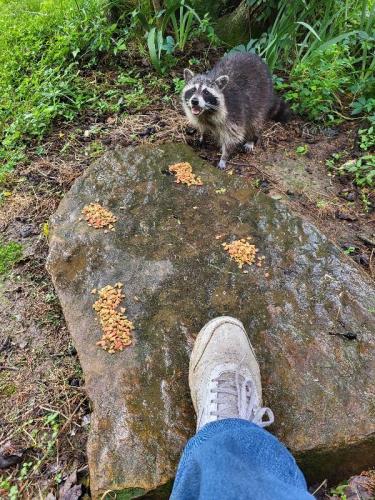 cf62a6b2-c82c-4b58-80b0-0f73b68128dd