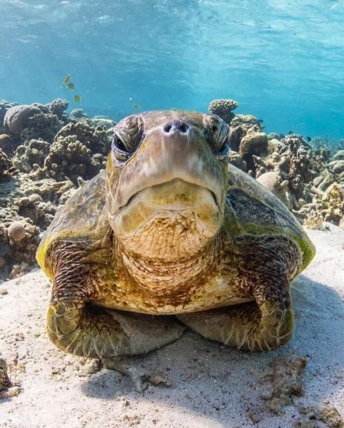 14:46:15 GMT-0500 (CDT)