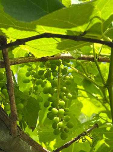 78234011-4D34-4AA0-8F24-EF19C719E67A