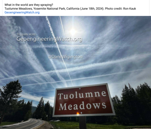 Screenshot_2024-06-20-18-41-25_kindlephoto-33757562