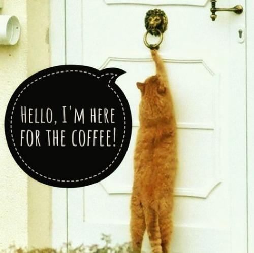 447281494_378076108593093_8637594458231738717_n