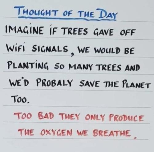 Screenshot_20240621_064725_Facebook