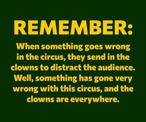 Screenshot_20240608_105558_Instagram