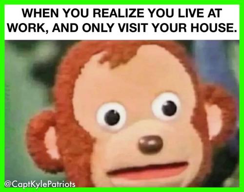 IMG_20240608_183709_181