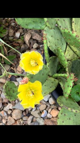 A39A0E45-B14E-4D96-90CC-C8E7C4D6C390