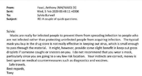 FB_IMG_1717383780603